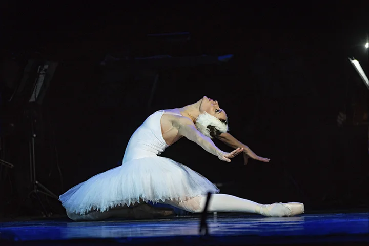 Вечір Французької музики - #16