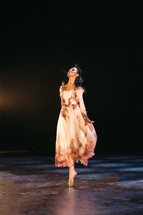 Gala-Ballet. - #5